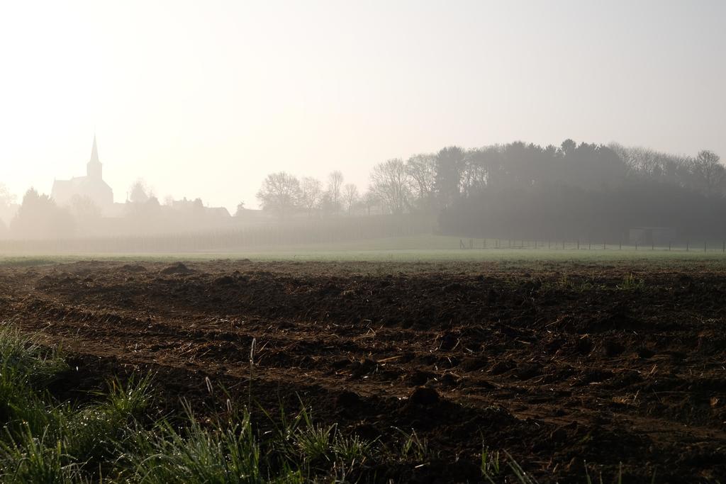 B&B Silentium Tielt Zewnętrze zdjęcie