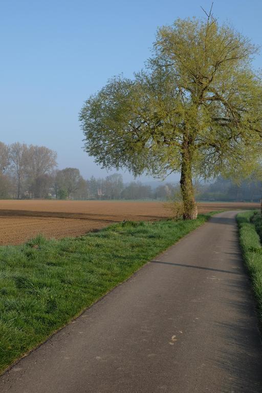 B&B Silentium Tielt Zewnętrze zdjęcie