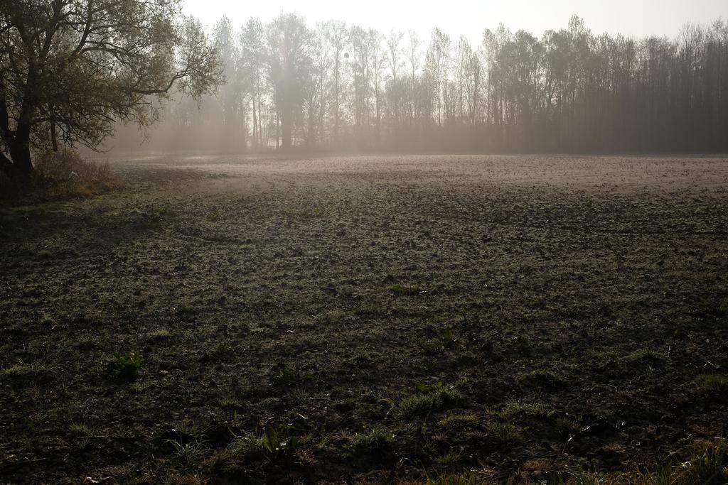 B&B Silentium Tielt Zewnętrze zdjęcie