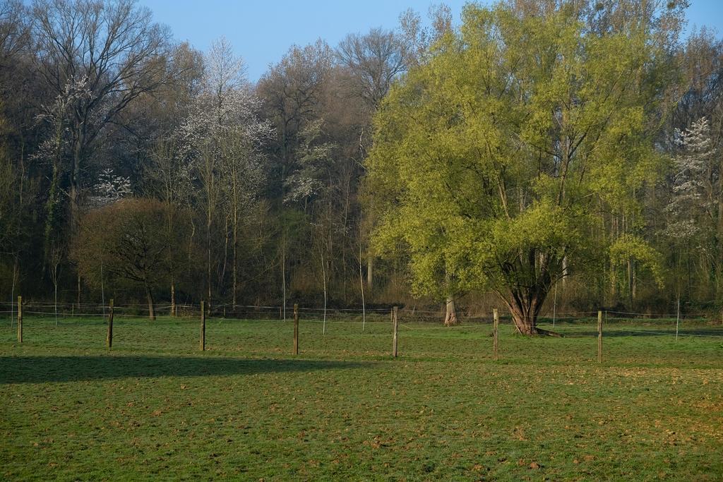 B&B Silentium Tielt Zewnętrze zdjęcie