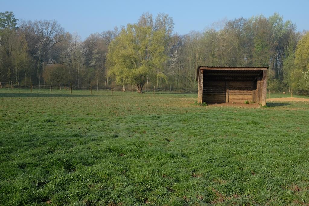 B&B Silentium Tielt Zewnętrze zdjęcie