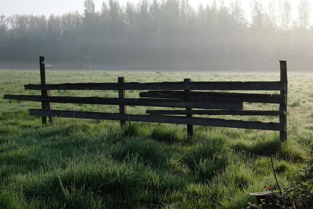 B&B Silentium Tielt Zewnętrze zdjęcie